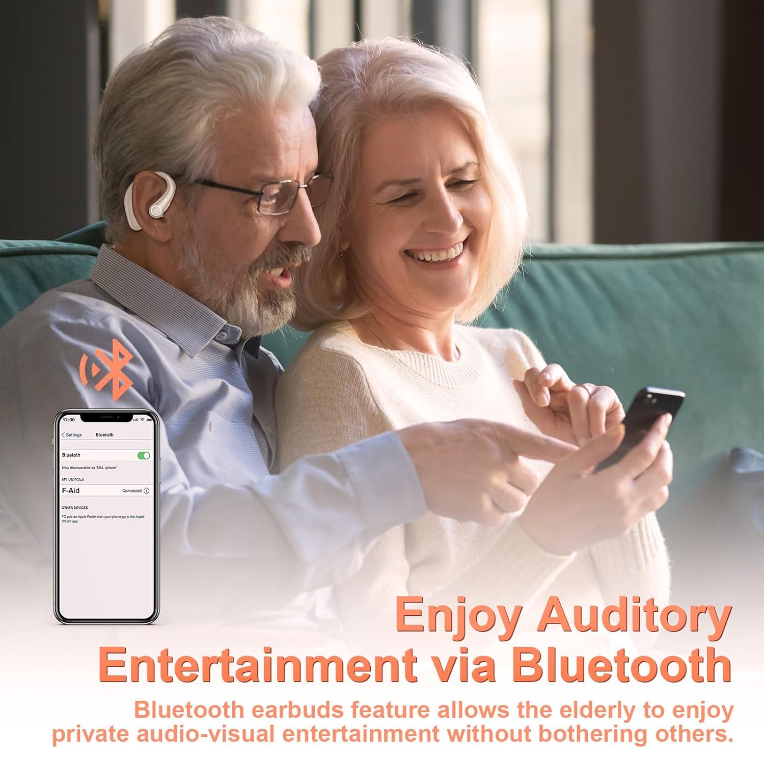 Detalle 1 de Hearing Aids