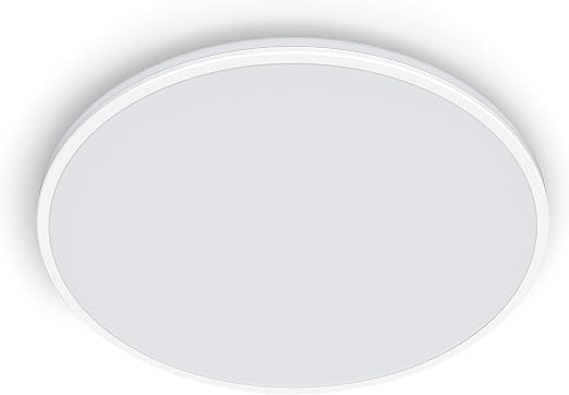 Detalle de Philips Ozziet Plafón LED 22W Luz Blanca Fría 🌟