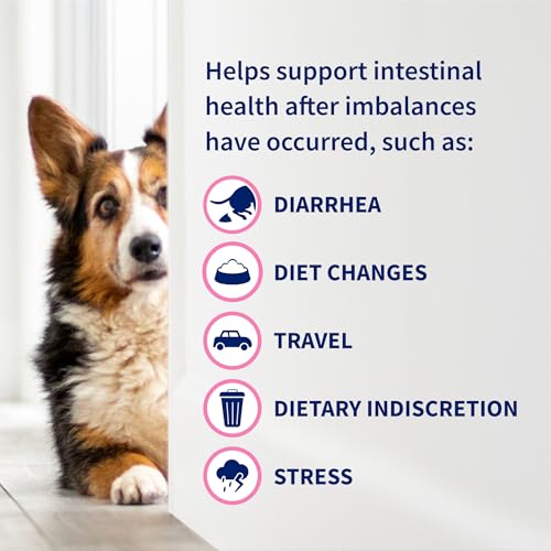 Thumbnail 6 de Nutramax Proviable Probiotics + Prebiotics for Dogs & Cats, 80 Capsules