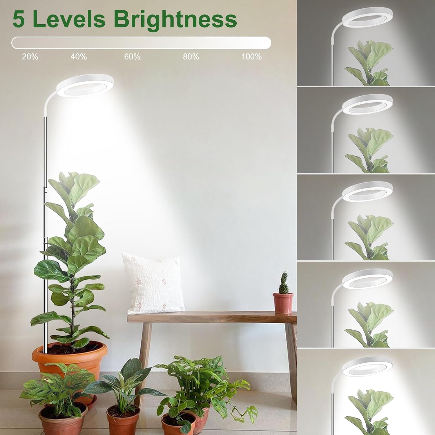 Thumbnail 5 de wolezek Pflanzenlampe 160cm 🌱