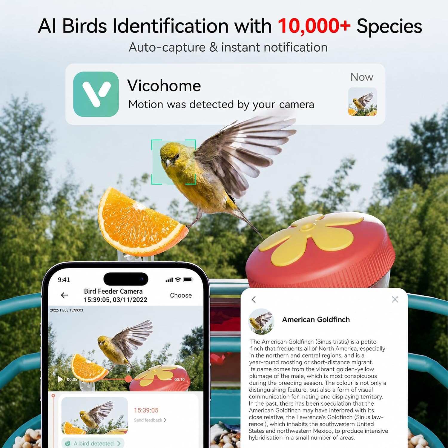 Thumbnail 1 de Nafnti Smart Bird Feeder with Camera, 1.8 L, 2K Video and Solar Panel
