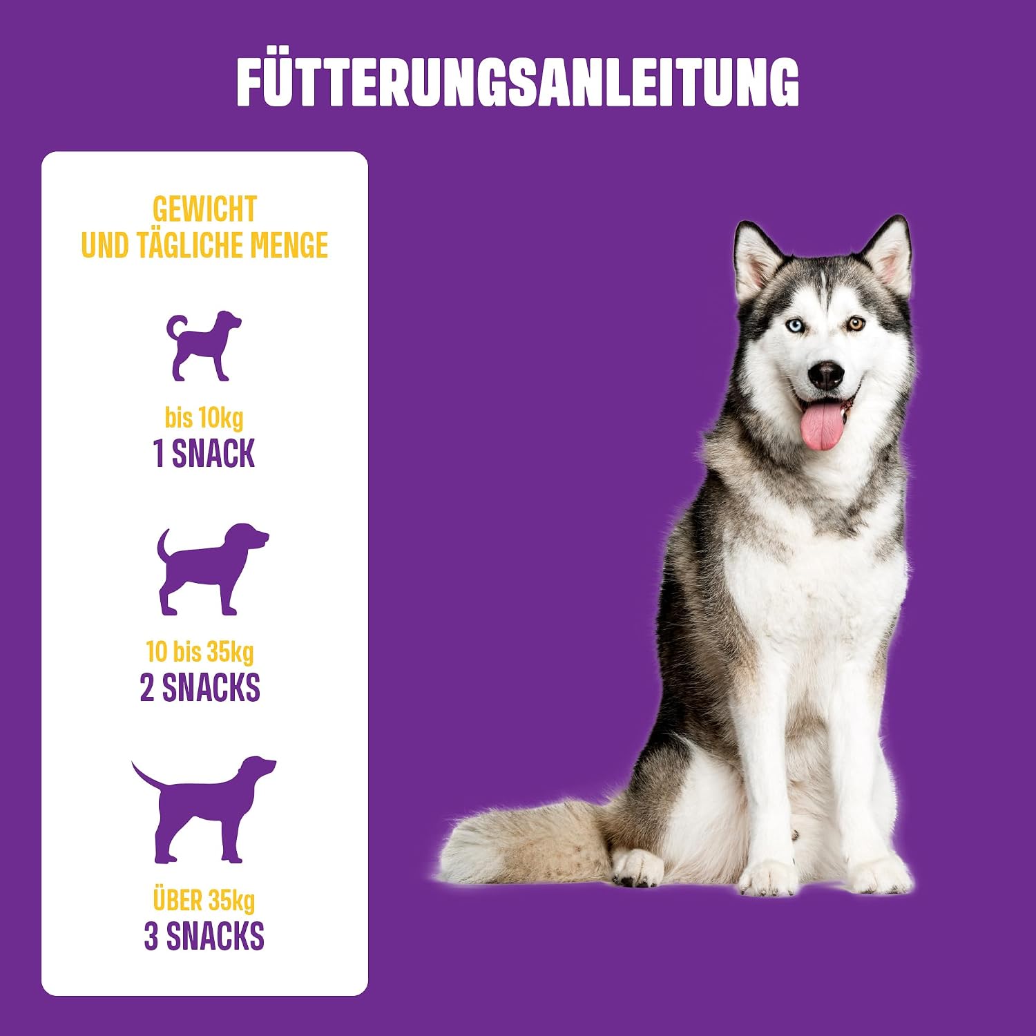 Thumbnail 6 de ivvi Vision Augenpflege Snacks für Hunde mit DHA, Astaxanthin & Blaubeere – 60 weiche Snacks