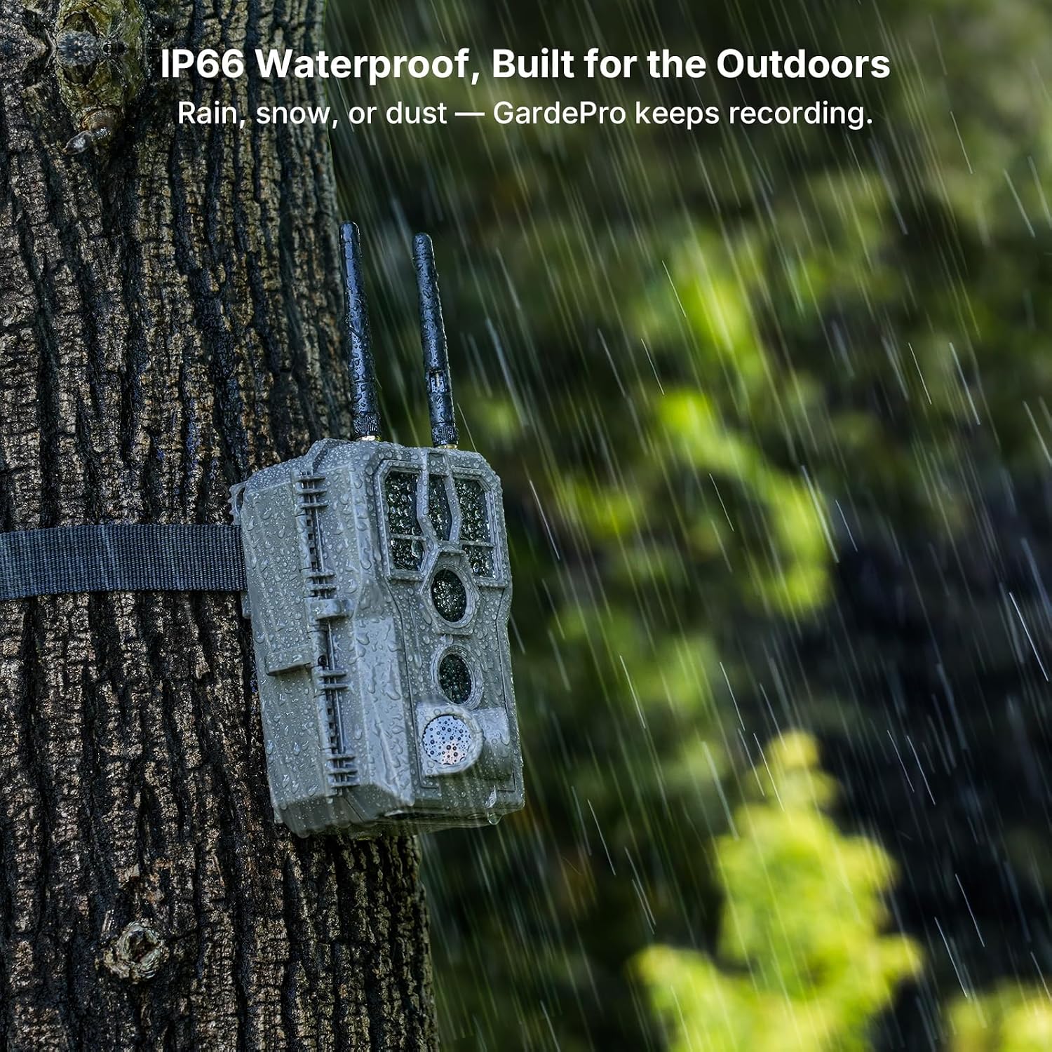 Thumbnail 6 de GardePro E8 2.0 Trail Camera, 4K Video, 64MP Photos, Dual Antennas