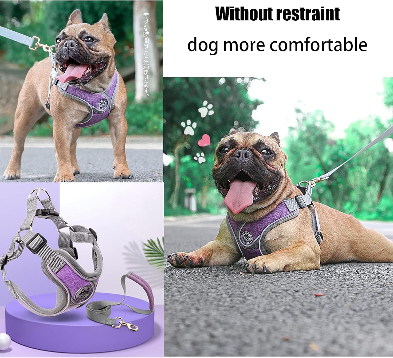 Thumbnail 1 de SKXEO Small Dog No Pull Harness & Lead Set – adjustable, breathable, reflective and escape-proof