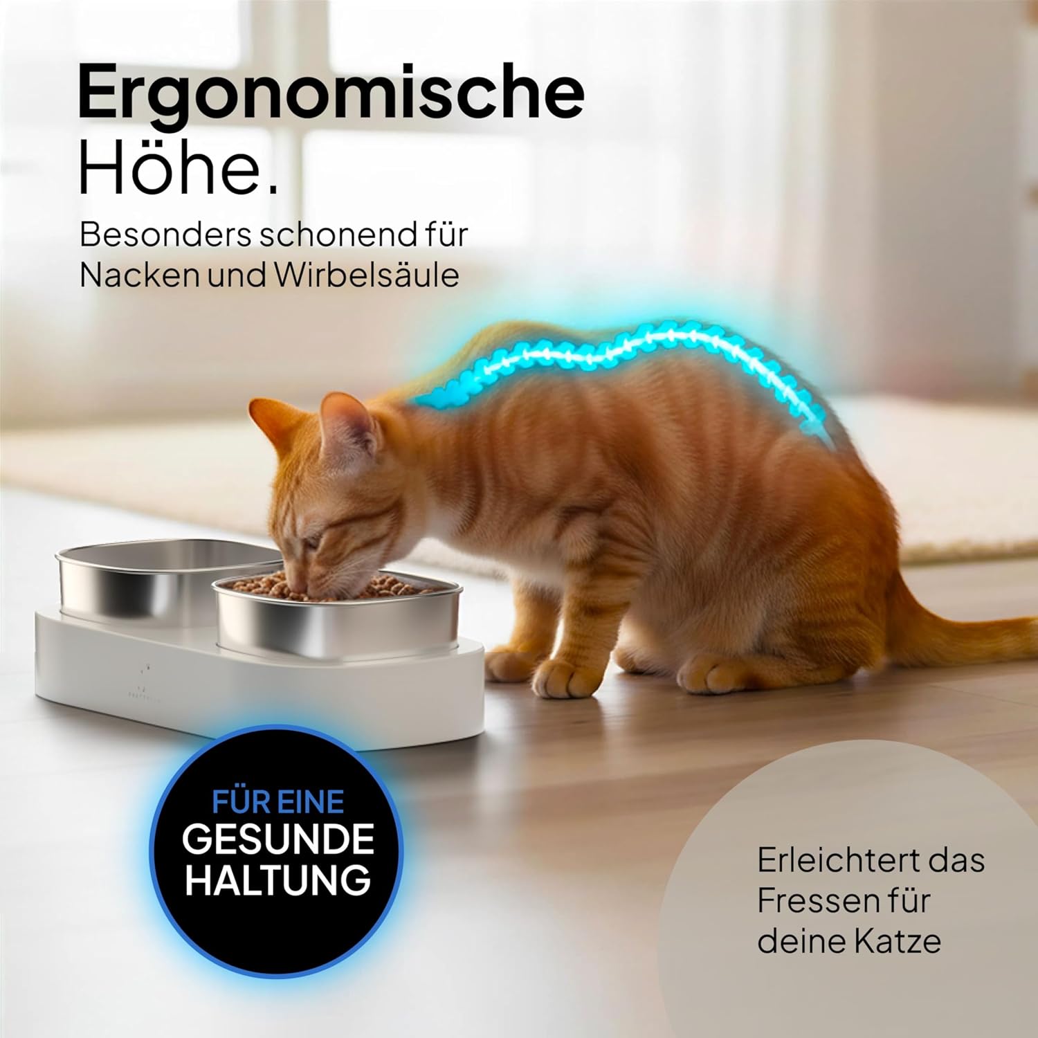 Detalle 2 de Pretty Paw Erhöhter Katzennapf 2‑in‑1
