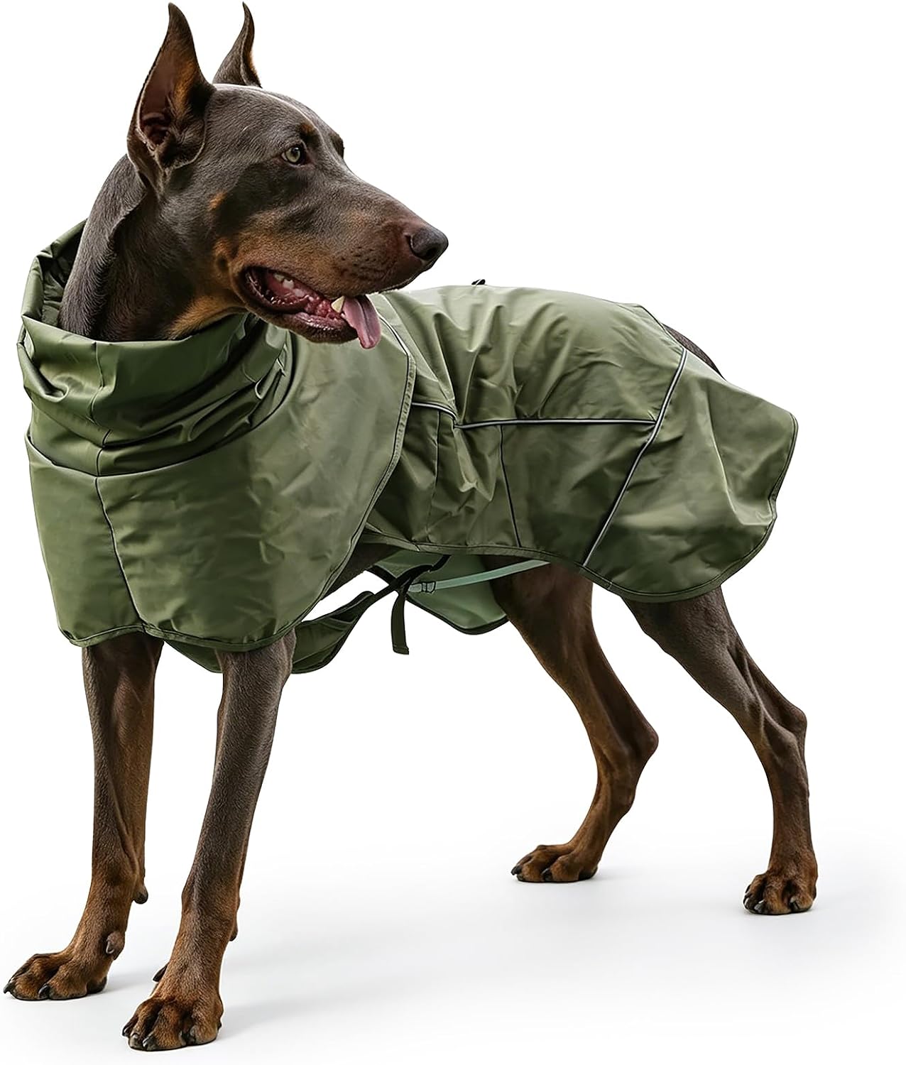 Detalle de Skmeditec Dog Raincoat 4XL