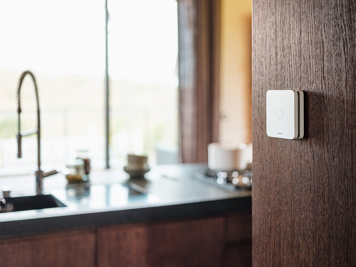 Detalle de Netatmo Détecteur de monoxyde de carbone intelligent 2,4 GHz Wi‑Fi (alarme 85 dB, batterie 10 ans)