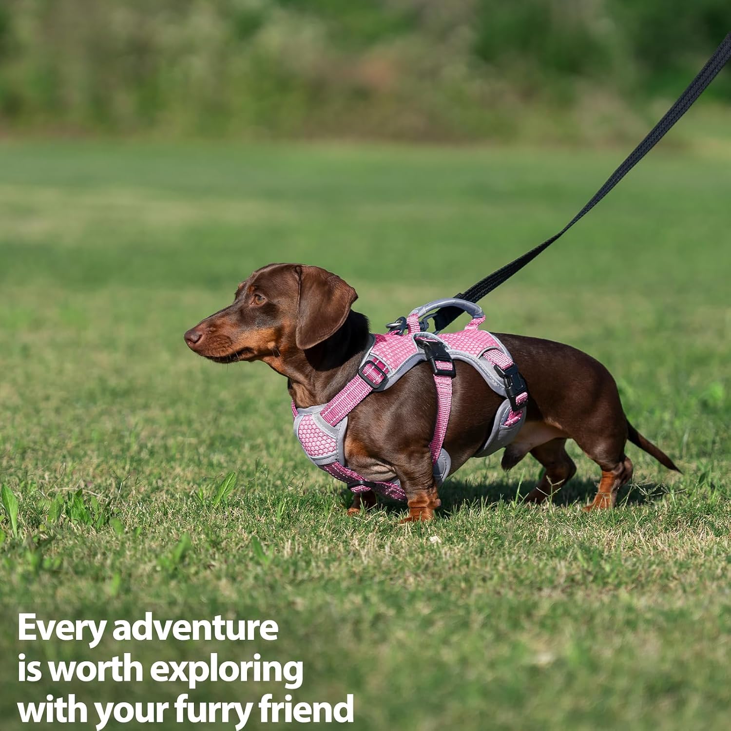 Thumbnail 6 de Huntboo Dog Harness, Size M