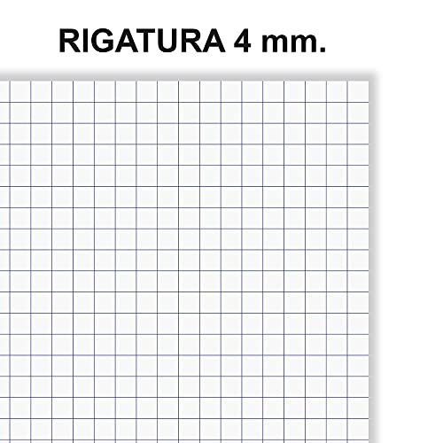 Detalle 2 de Favorit Quaderni Spiralati A4 Rigatura Quadretti 4mm, 5 Pezzi – 80 g/m²