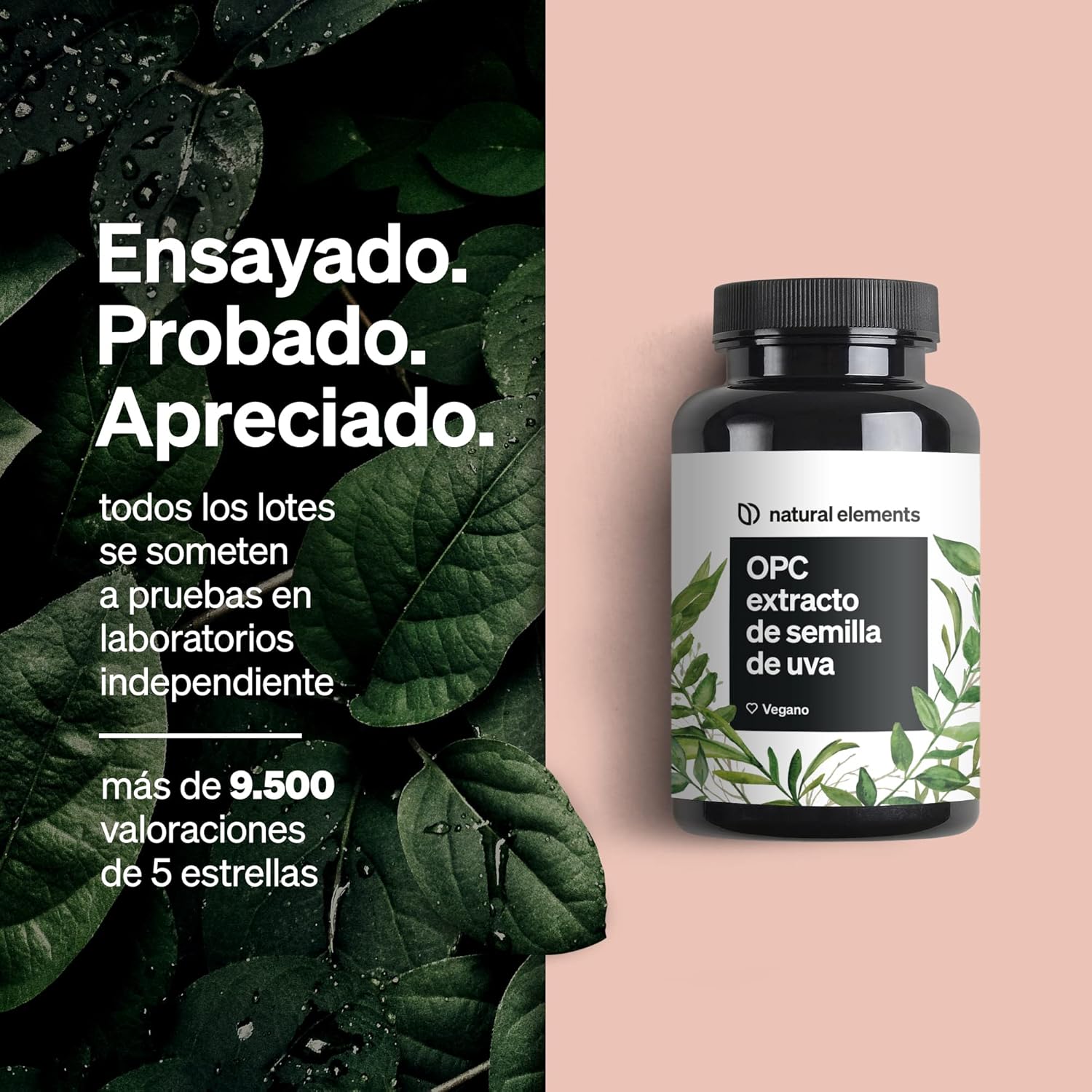 Thumbnail 4 de OPC extracto de semilla de uva – 240 cápsulas veganas 🍇