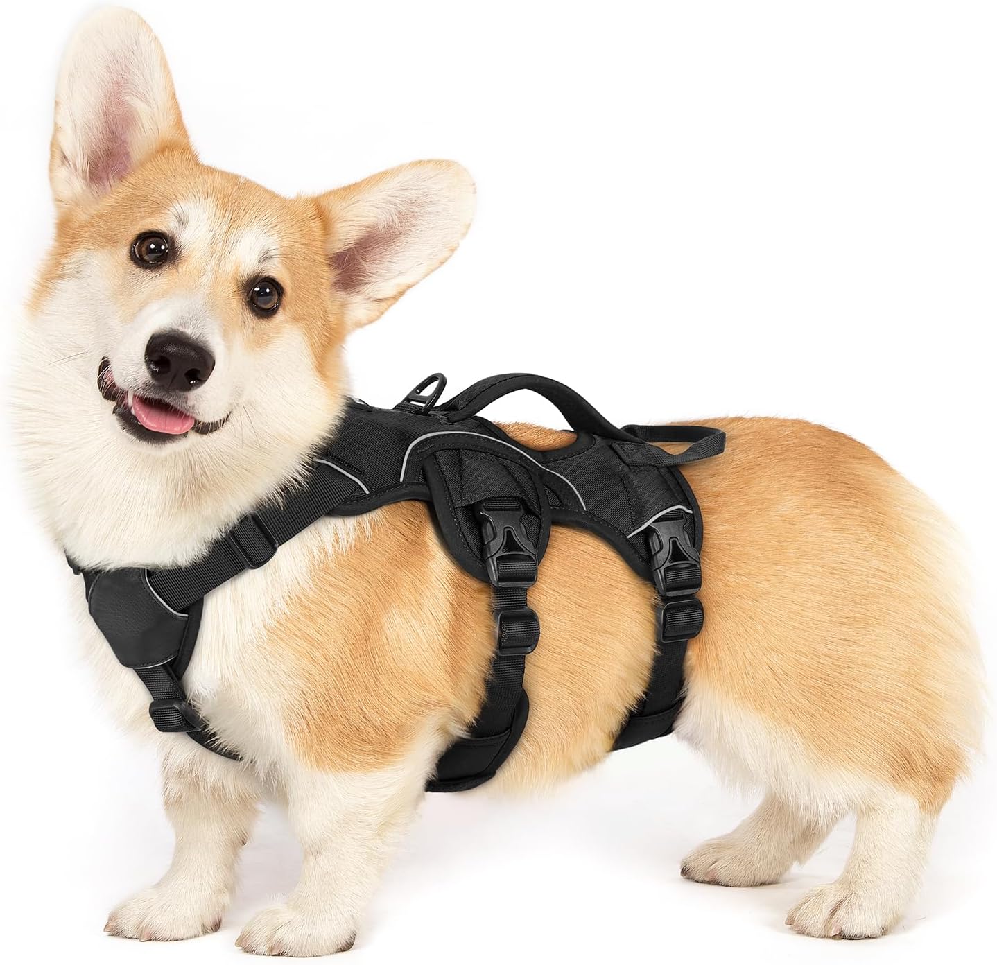 Detalle de rabbitgoo Escape-Proof Dog Harness Small Dog with Handle (Size S) – Adjustable, Reflective & Breathable Vest-Style Harness, Black