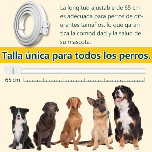 Thumbnail 4 de Collar antiparasitario Asticers para perros (12 meses) contra pulgas y garrapatas, ajustable hasta 65 cm