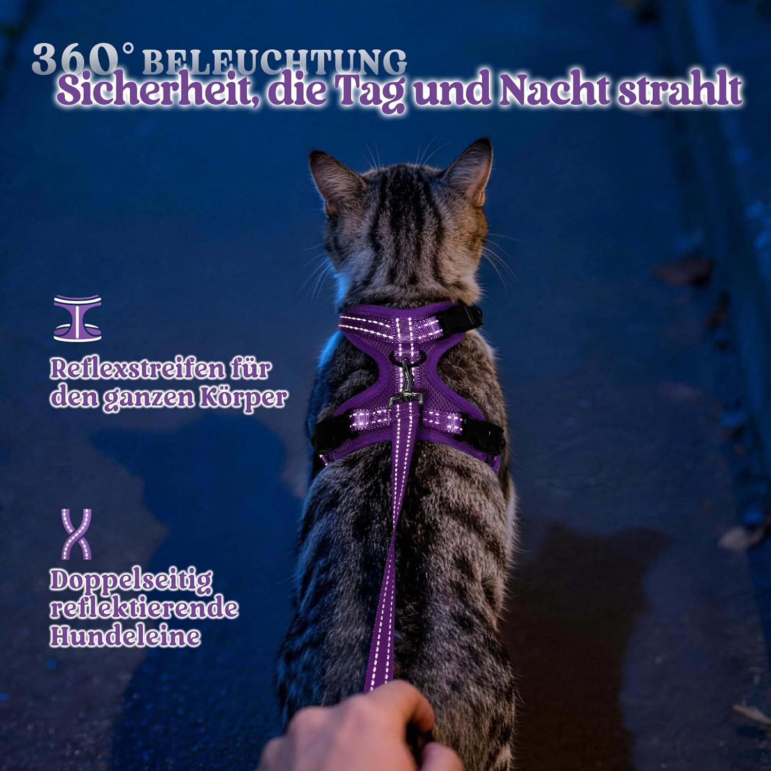 Thumbnail 6 de Rabbitgoo Katzengeschirr mit Leine – Ausbruchsicher, verstellbar, weiches Brustgeschirr, Reflektierend, S (Lila)