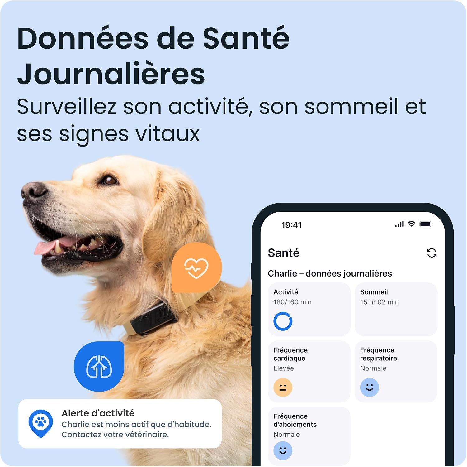 Detalle de Tractive Collier GPS Chien Connecté 14 jours
