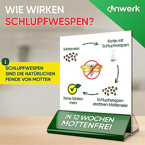 Detalle de anwerk Schlupfwespen gegen Kleidermotten – 12 Karten, 1 Lieferung