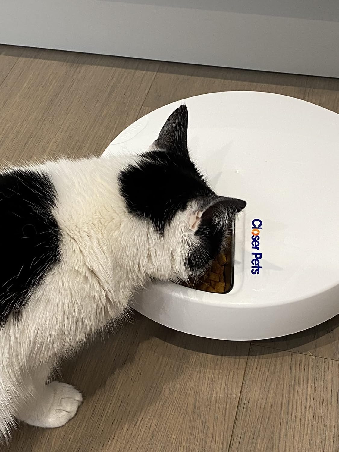 Detalle 2 de Closer Pets C500 automatische voerautomaat met 5 vakken, RVS kommen en koelelementen