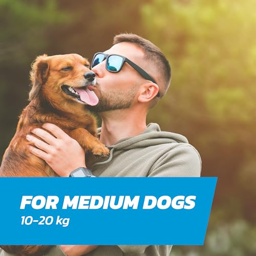 Thumbnail 1 de FleaSolve 2 x Pipettes: Dog Flea Treatment for Medium Dogs (10–20 kg) – Spot-On Flea and Tick Control