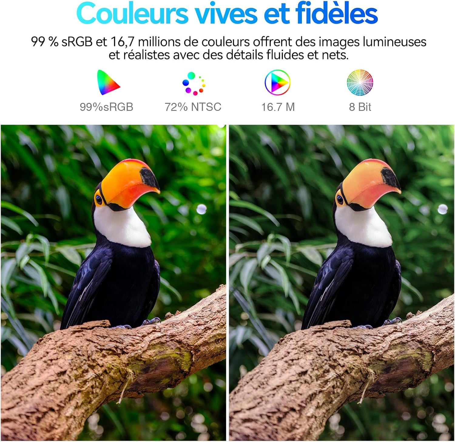 Thumbnail 4 de KOORUI E2411K : moniteur PC gamer 24 pouces Full HD 144 Hz IPS, Eye Care et Adaptive Sync