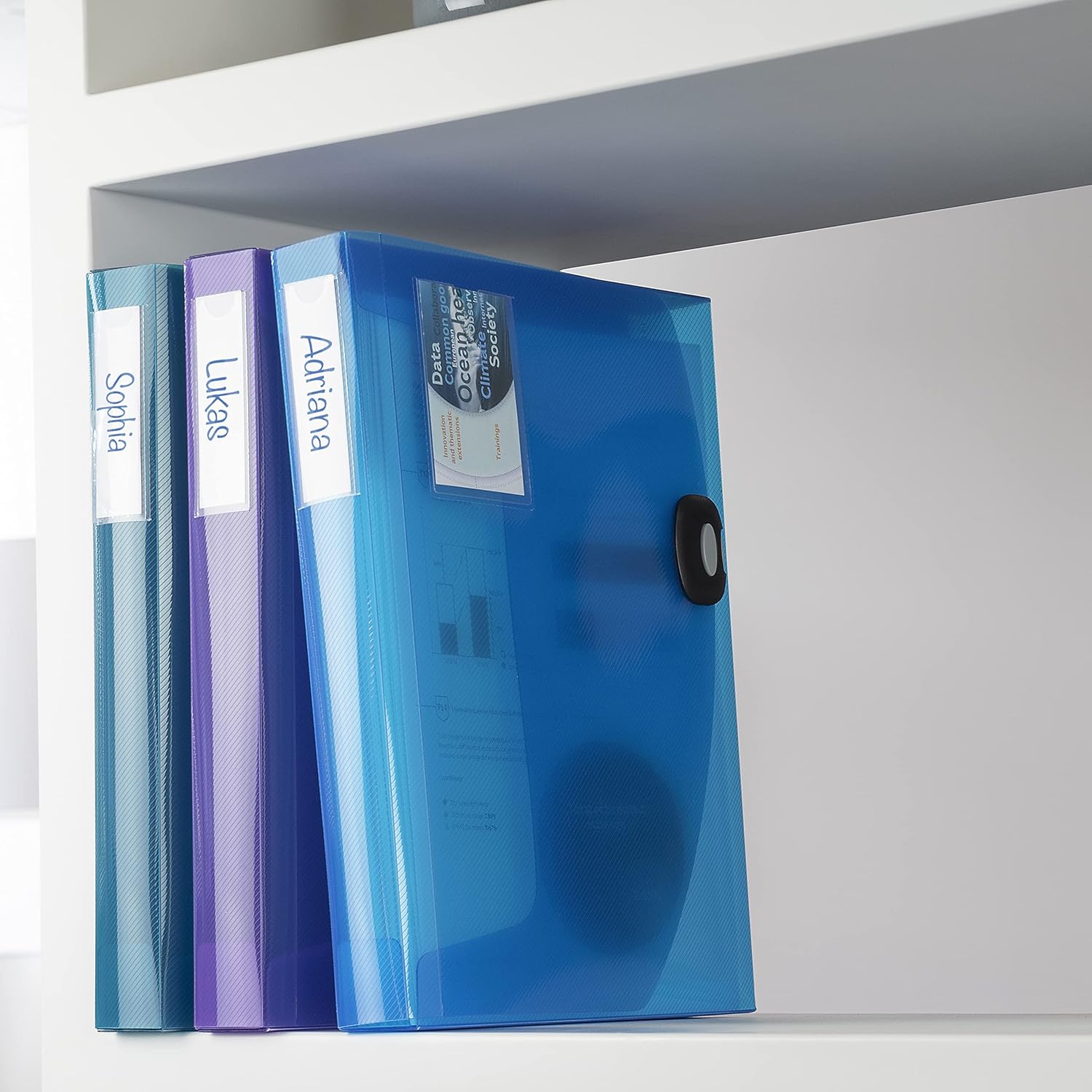Thumbnail 4 de Rapesco 1690 Rigid Box File, 40 mm Spine, A4, Transparent Assorted Colours – Pack of 5
