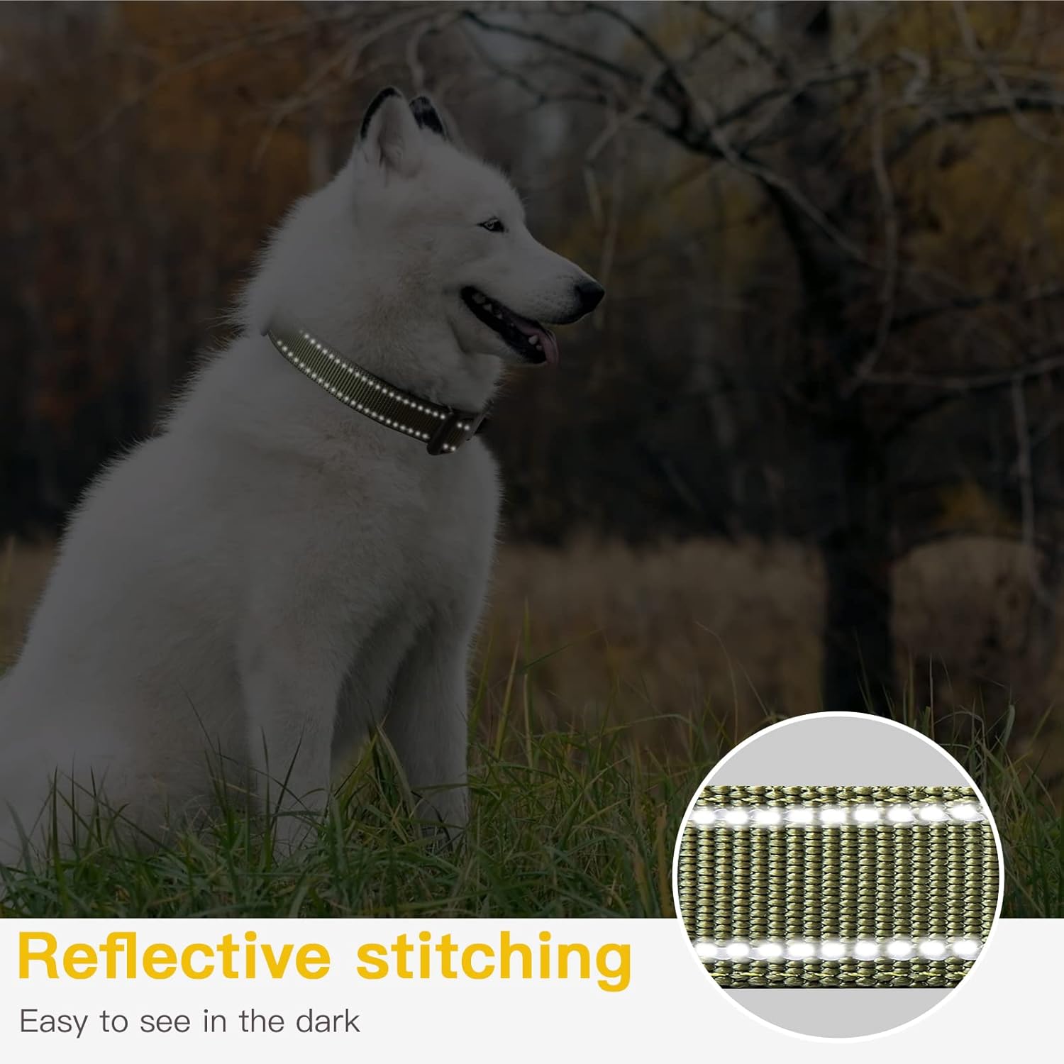 Thumbnail 4 de HEELE M Adjustable Reflective Neoprene Dog Collar, 34–52 cm