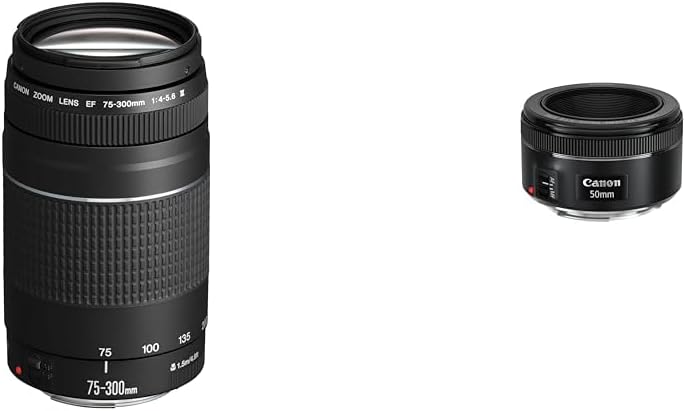 Thumbnail 6 de Canon EF 75-300 mm f/4-5.6 III Versione EU