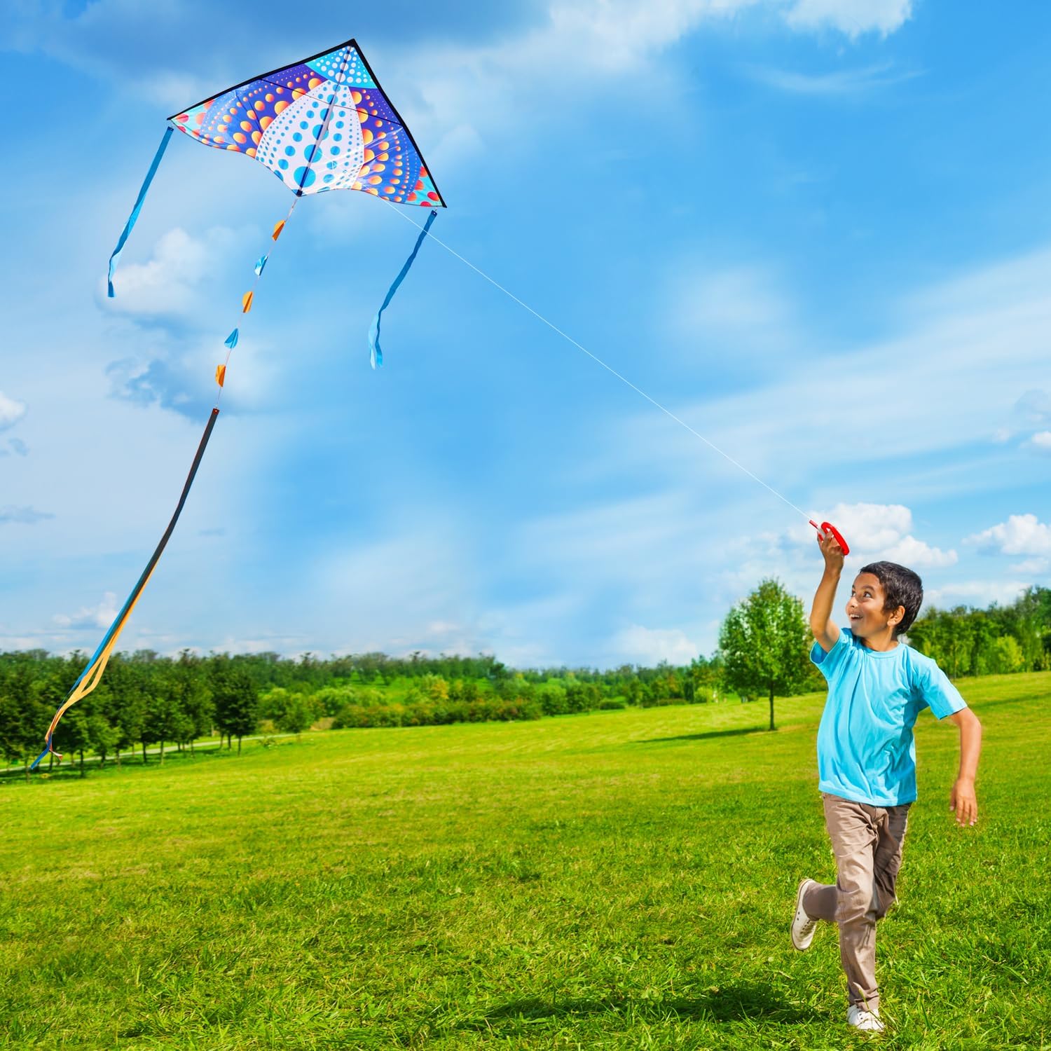 Detalle de HONBO Large Delta Kite 53.5x30.3