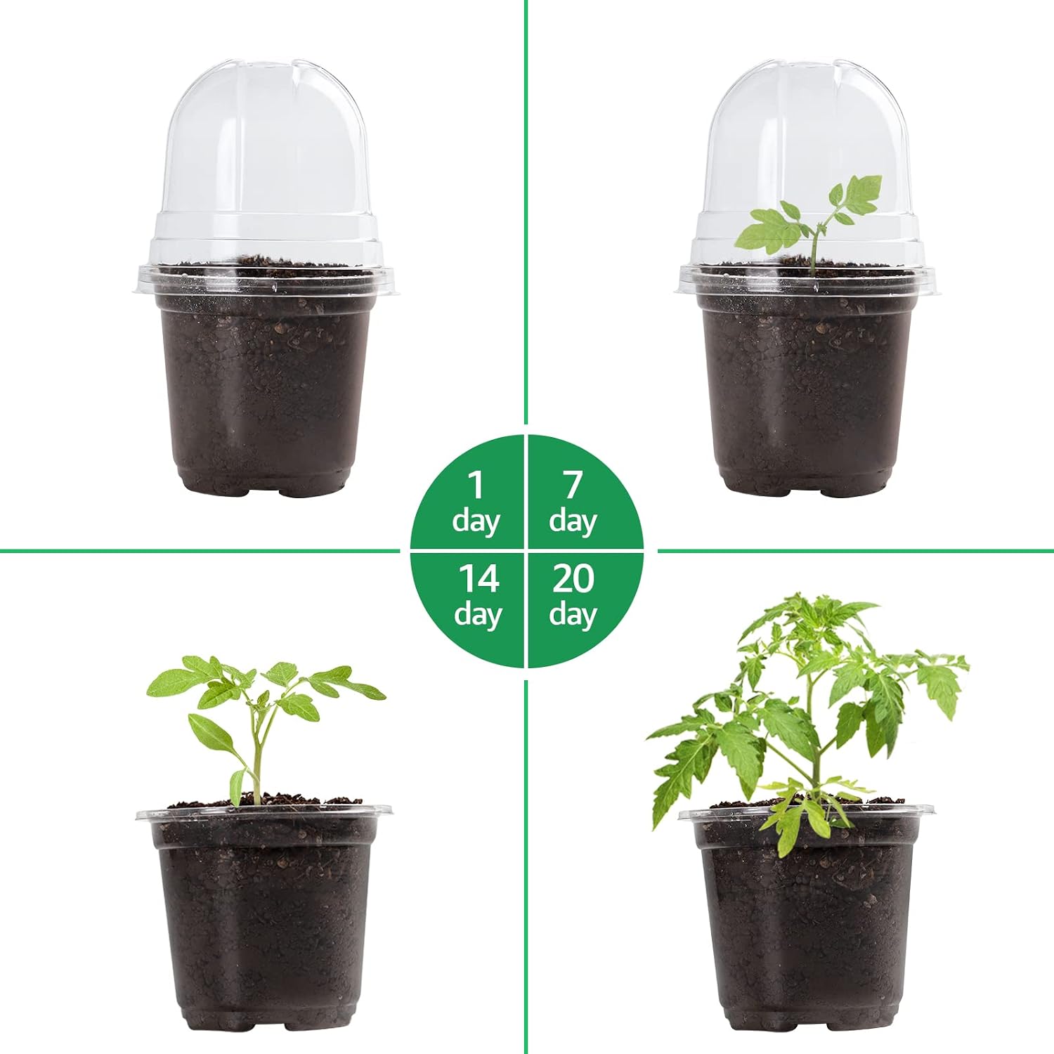 Thumbnail 2 de Bluepro 30-Pack 4-Inch Clear Nursery Pots with Humidity Dome for Seed Starting