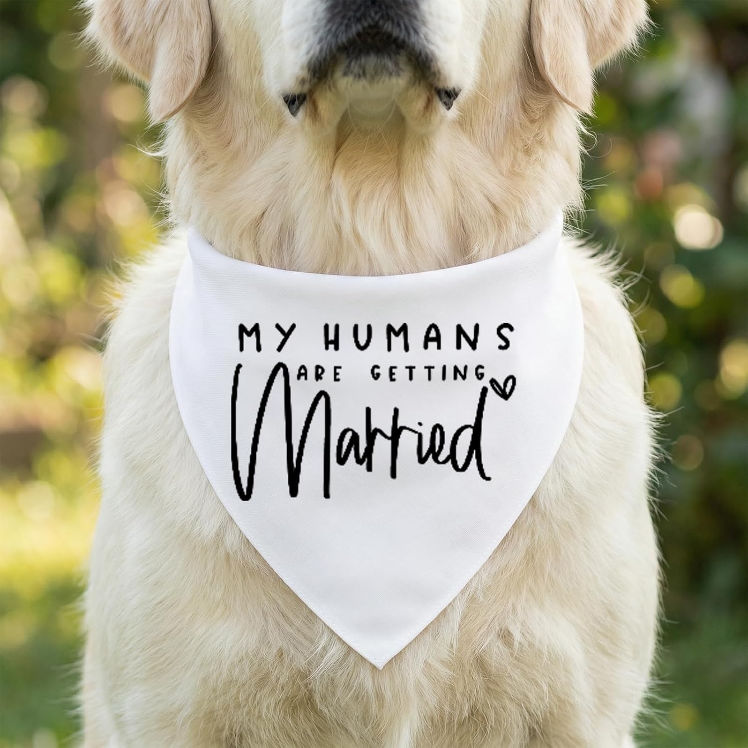 Thumbnail 3 de Bliceon 2 Pack Dog Bandana for Engagement – Black & White Heart Design