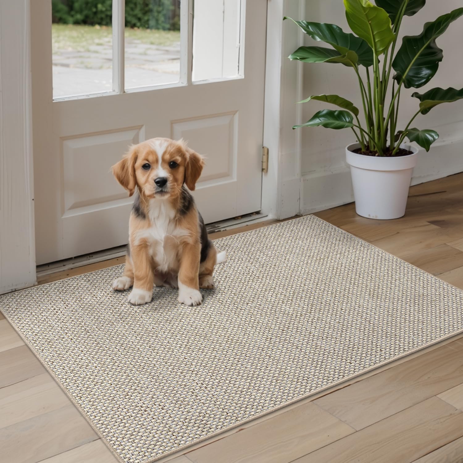 Thumbnail 2 de DEXI Tapis Entree Intérieur 90 x 140 cm - Paillasson Absorbant et Antidérapant Beige