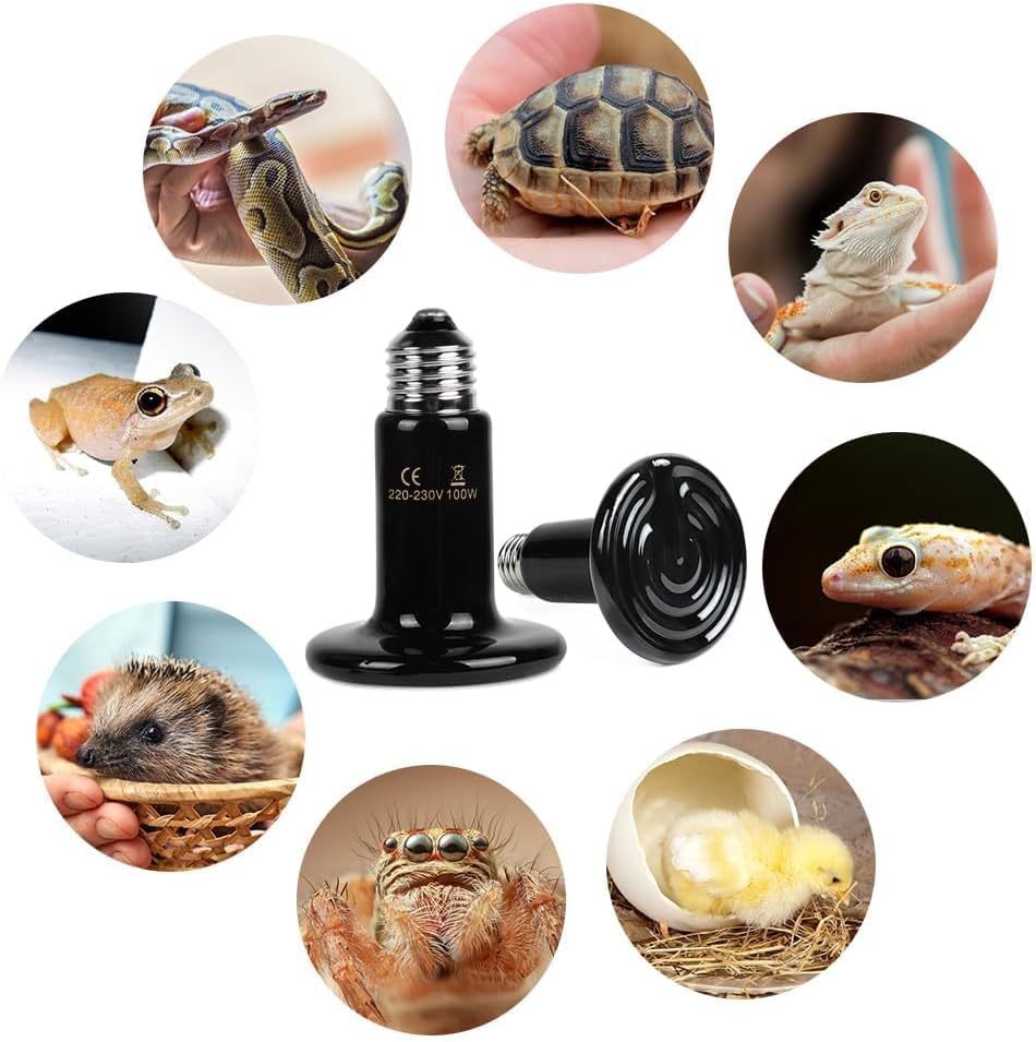 Thumbnail 6 de Adiwo confezione da 2 lampadine termiche per rettili a infrarossi, 100 W, base E27