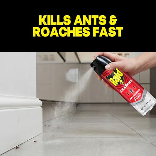 Detalle de Raid Ant & Roach Killer Bug Spray, Fragrance Free, 17.5 oz, 2 Count