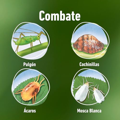 Thumbnail 3 de COMPO Fazilo Insecticida Acción Total para plantas ornamentales, 750 ml
