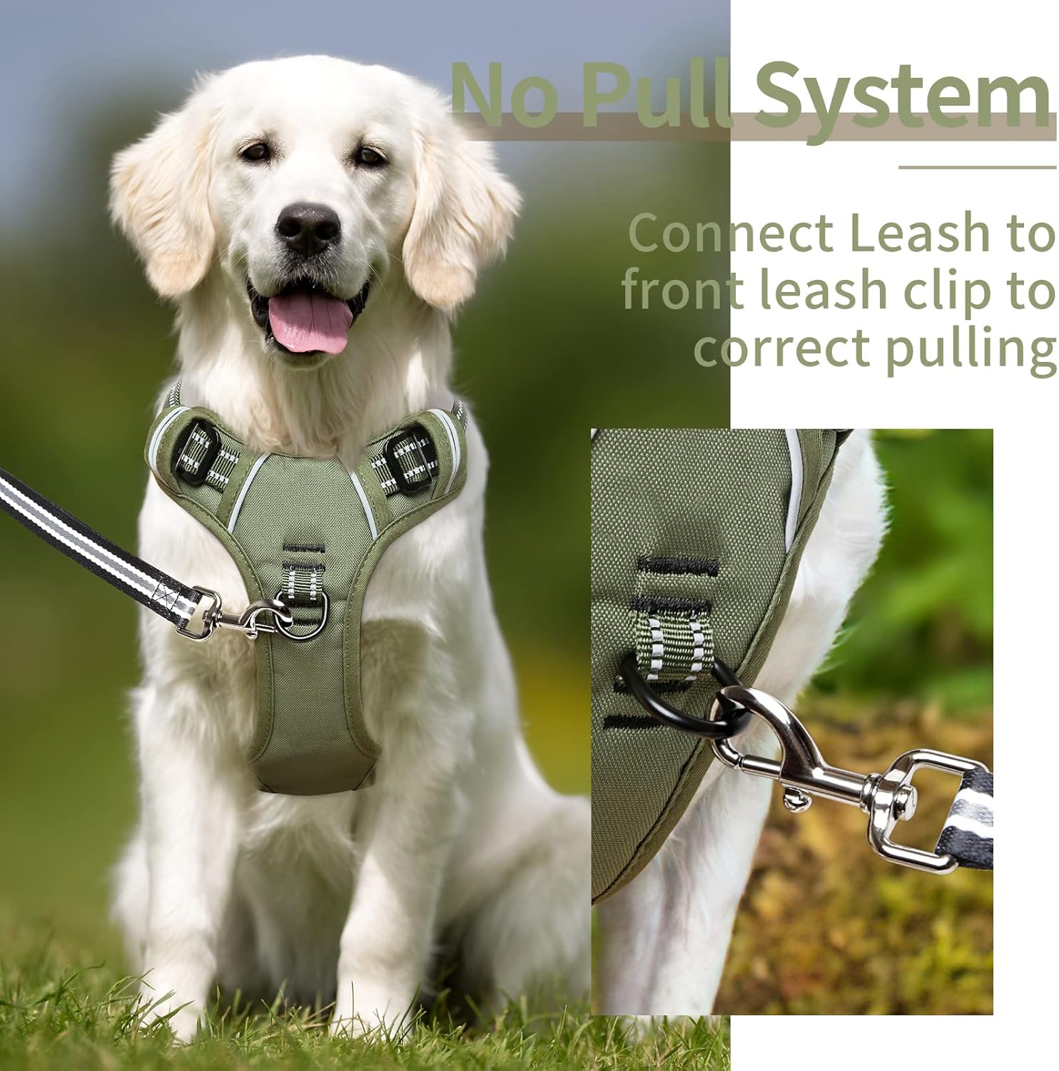 Thumbnail 3 de HEELE Dog Harness Green, Reflective, L