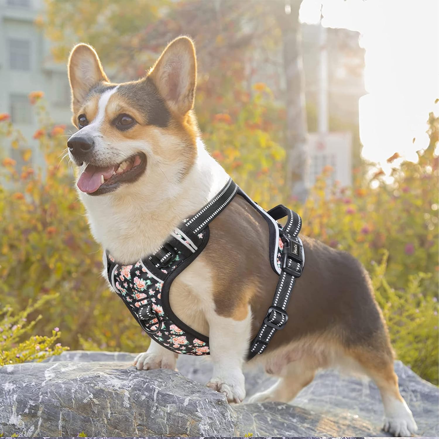 Detalle de HEELE No-Pull Dog Harness Small (Size S) – Floral-Black, Reflective, Front & Back Leash Rings