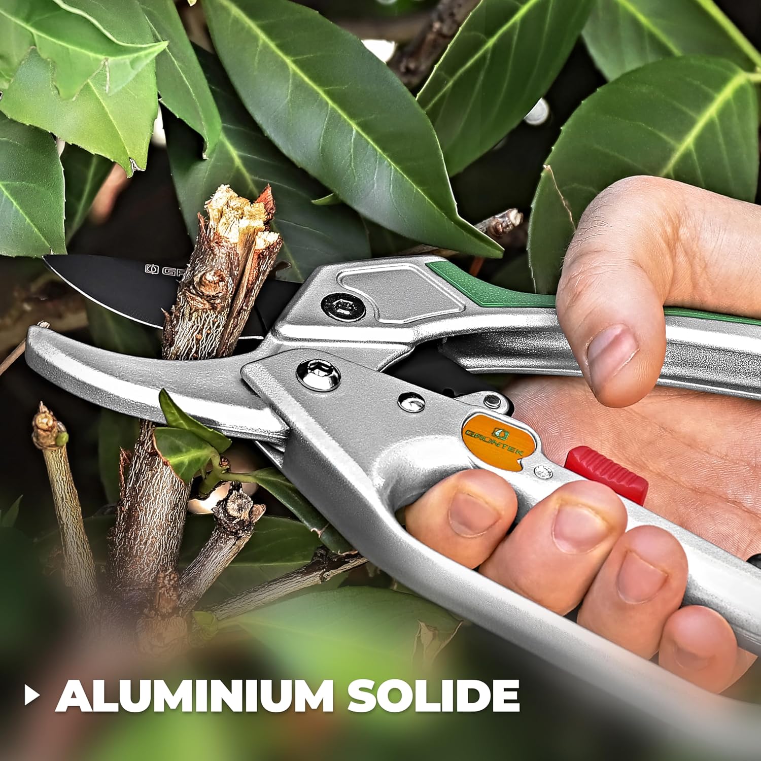Thumbnail 4 de GRÜNTEK Sécateur de Jardin Professionnel à Cliquet Automatique et Enclume 20 cm – Condor