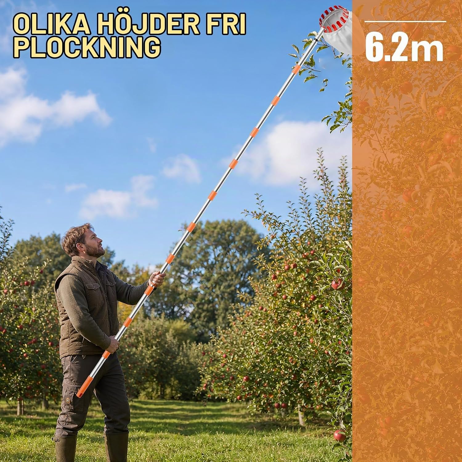 Detalle 2 de Fruktplockare med teleskophandtag, 6,0 m, 16 cm plockring och bomullspåse