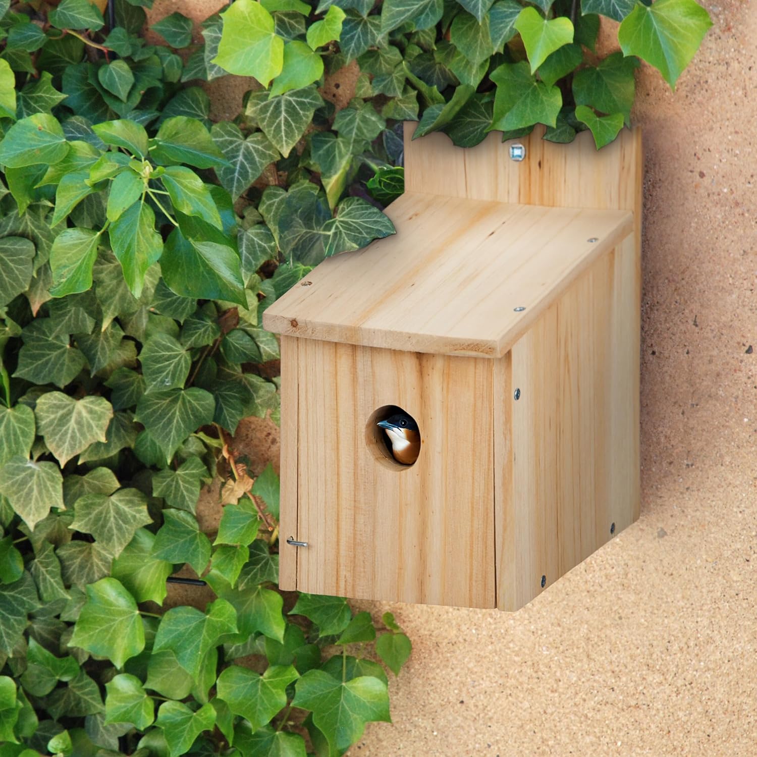 Detalle 2 de Relaxdays Casetta nido in legno 23x14x18 cm