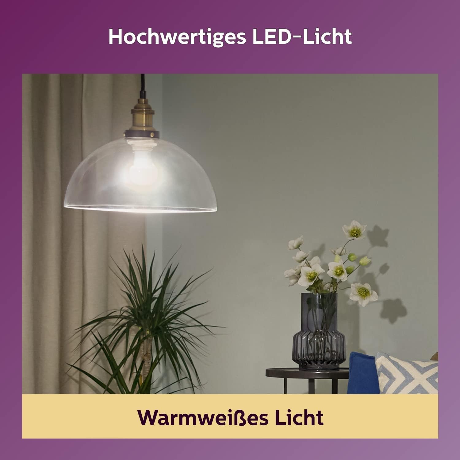 Detalle 2 de Ampoule LED Philips 60W E27 Blanc chaud non dimmable