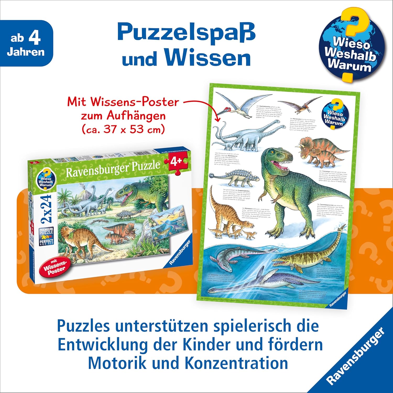 Thumbnail 3 de Ravensburger Kinderpuzzle 05128 Saurier und ihre Lebensräume – 2×24 Teile
