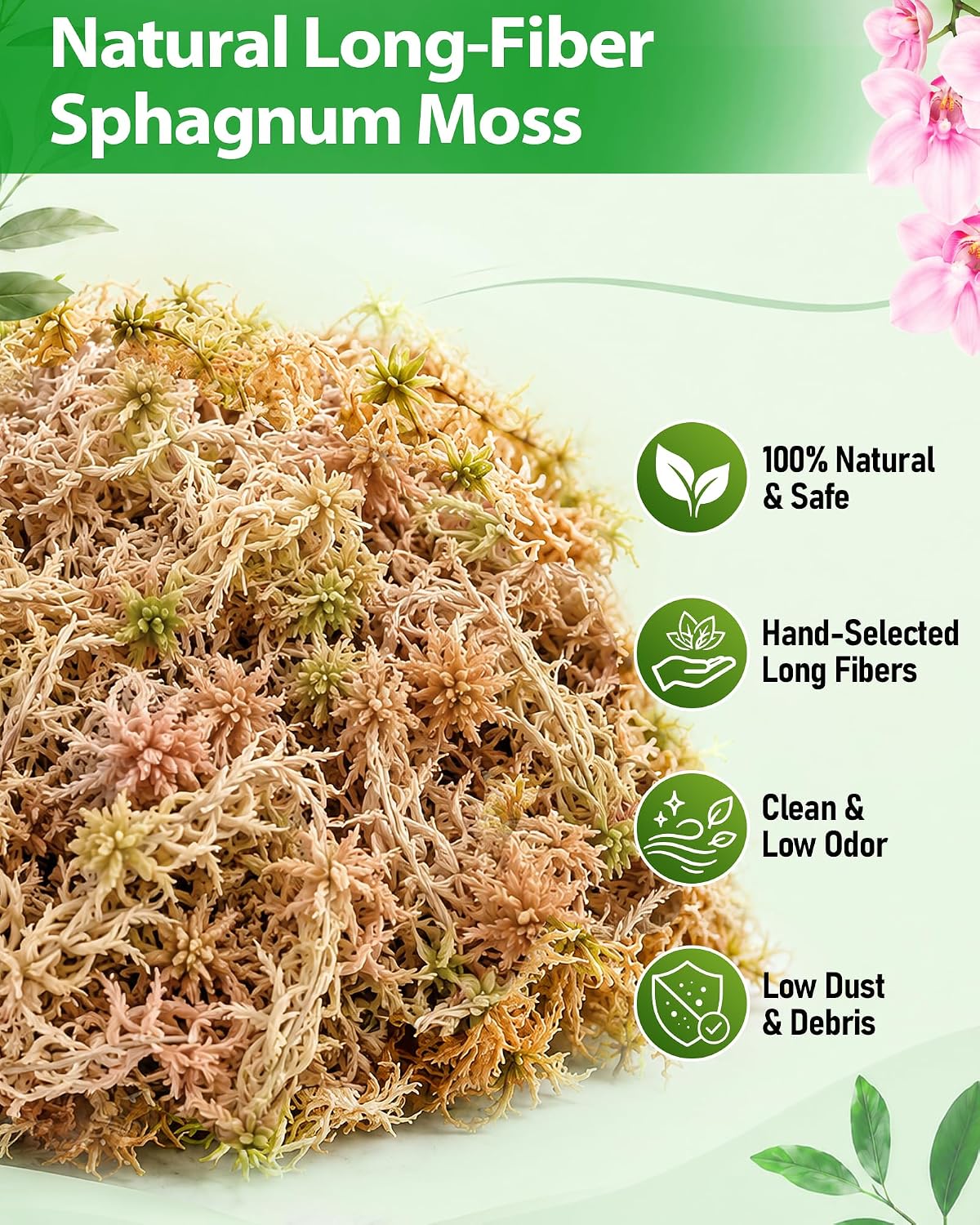 Detalle de Riare Natürliche Terrarium Moos 5.3 oz Sphagnum Moss, Long-Fibre Block