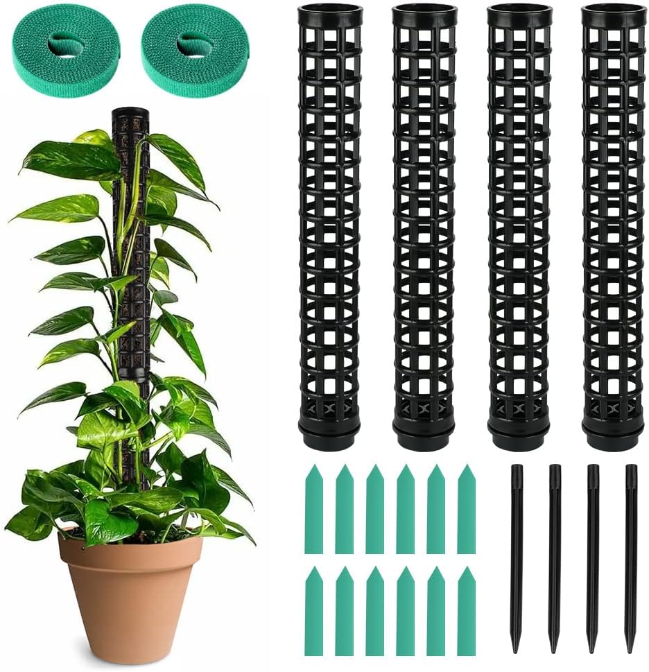 Detalle de OFFCUP Moosstab Pflanzstab – 4er-Set als Monstera Rankhilfe mit Etiketten & Klettverschluss