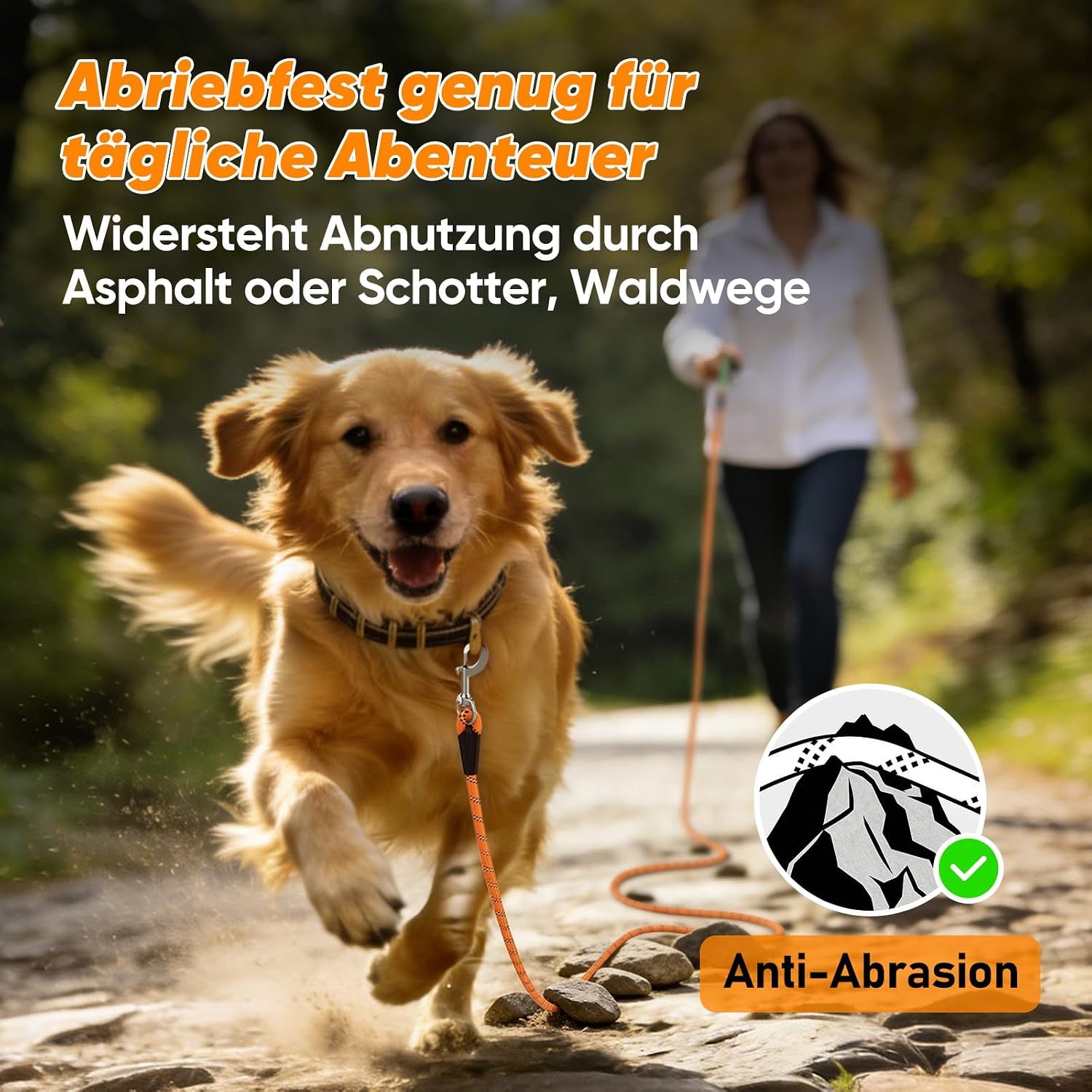 Detalle 2 de Aystkniet Schleppleine 10M für Hunde