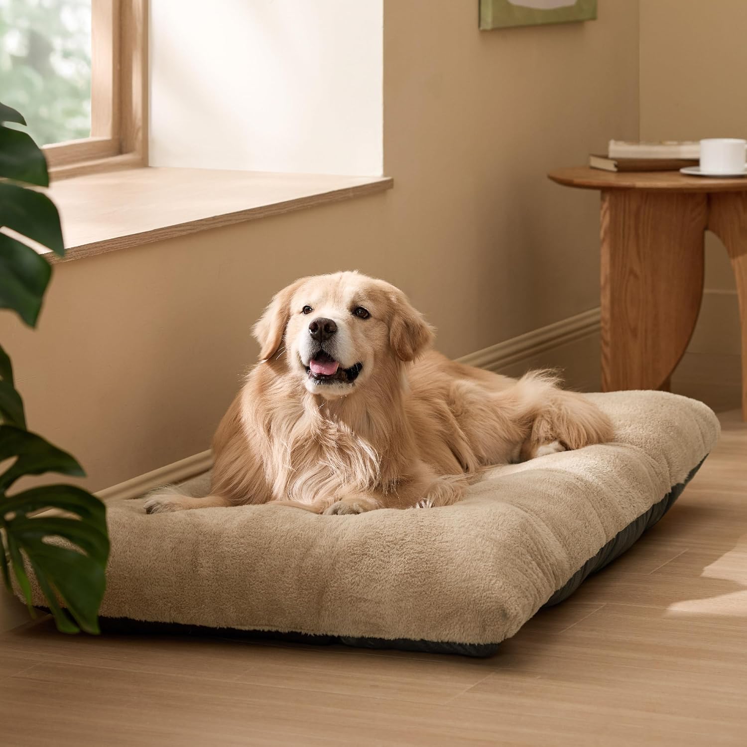 Thumbnail 6 de BEDSURE Hundebett XXL 119x74x8 cm