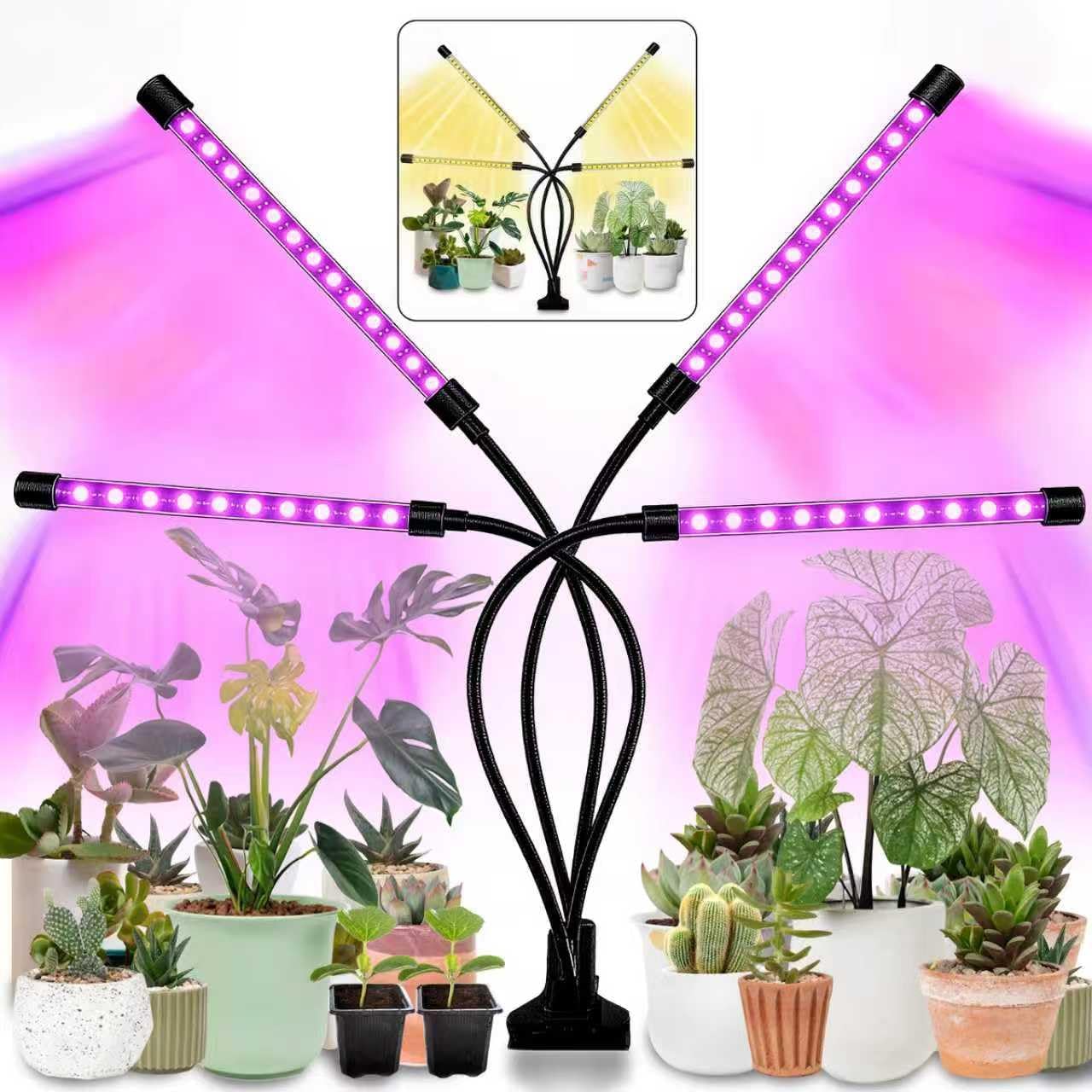 Detalle de LEOTER 100-2025 Indoor Grow Light with 80 LEDs, Timer and Gooseneck