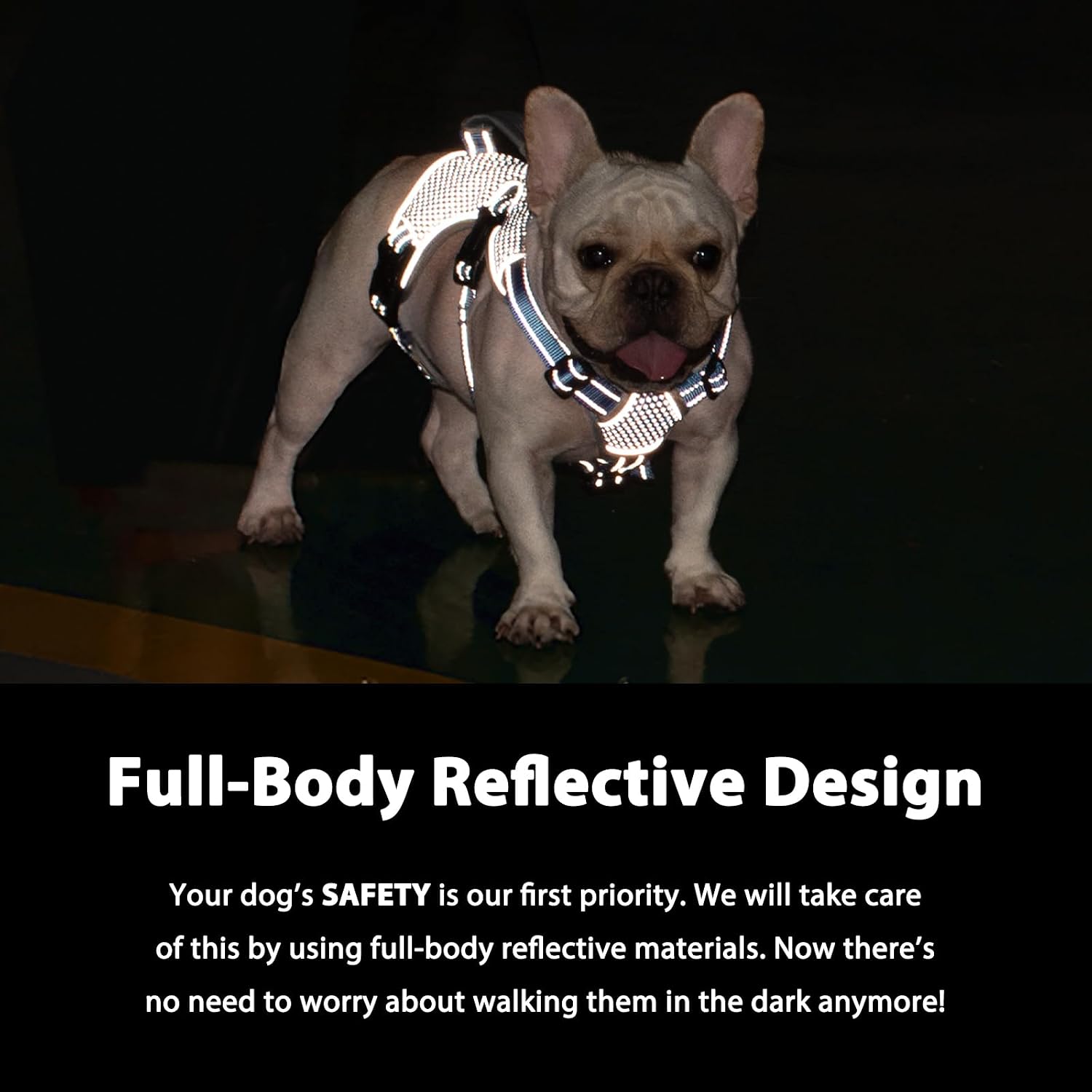 Detalle de Huntboo Dog Harness M