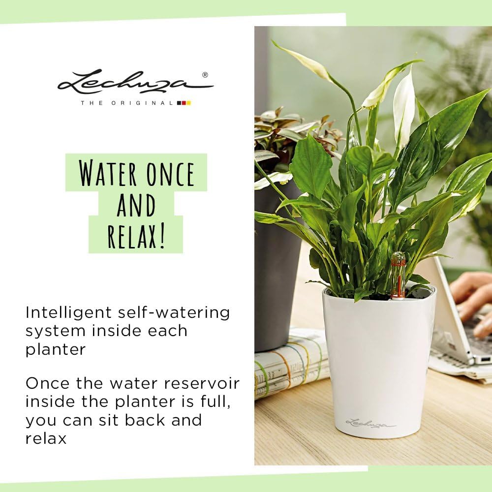 Thumbnail 5 de Lechuza Deltini antracite metallizzato 15x19x11,5 cm