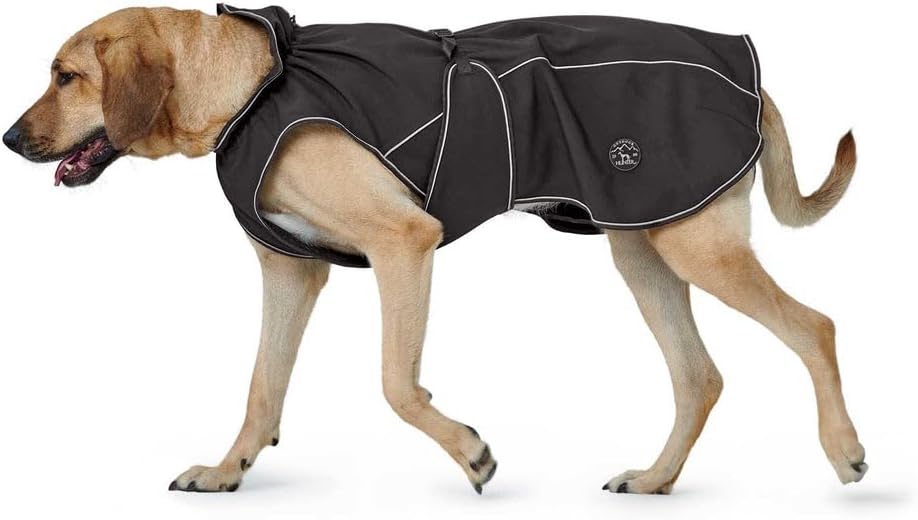 Thumbnail 4 de HUNTER Hundemantel UPPSALA SOFTSHELL (schwarz) – wasser- & winddicht mit Fleece-Innenfutter