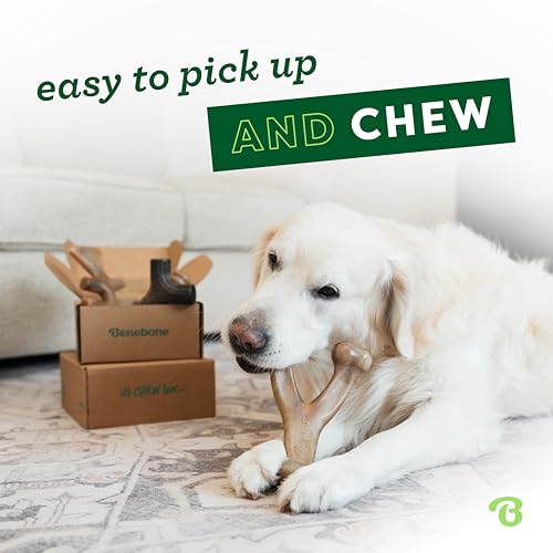Detalle 2 de Benebone Caja de Regalo Indestructible para perros pequeños