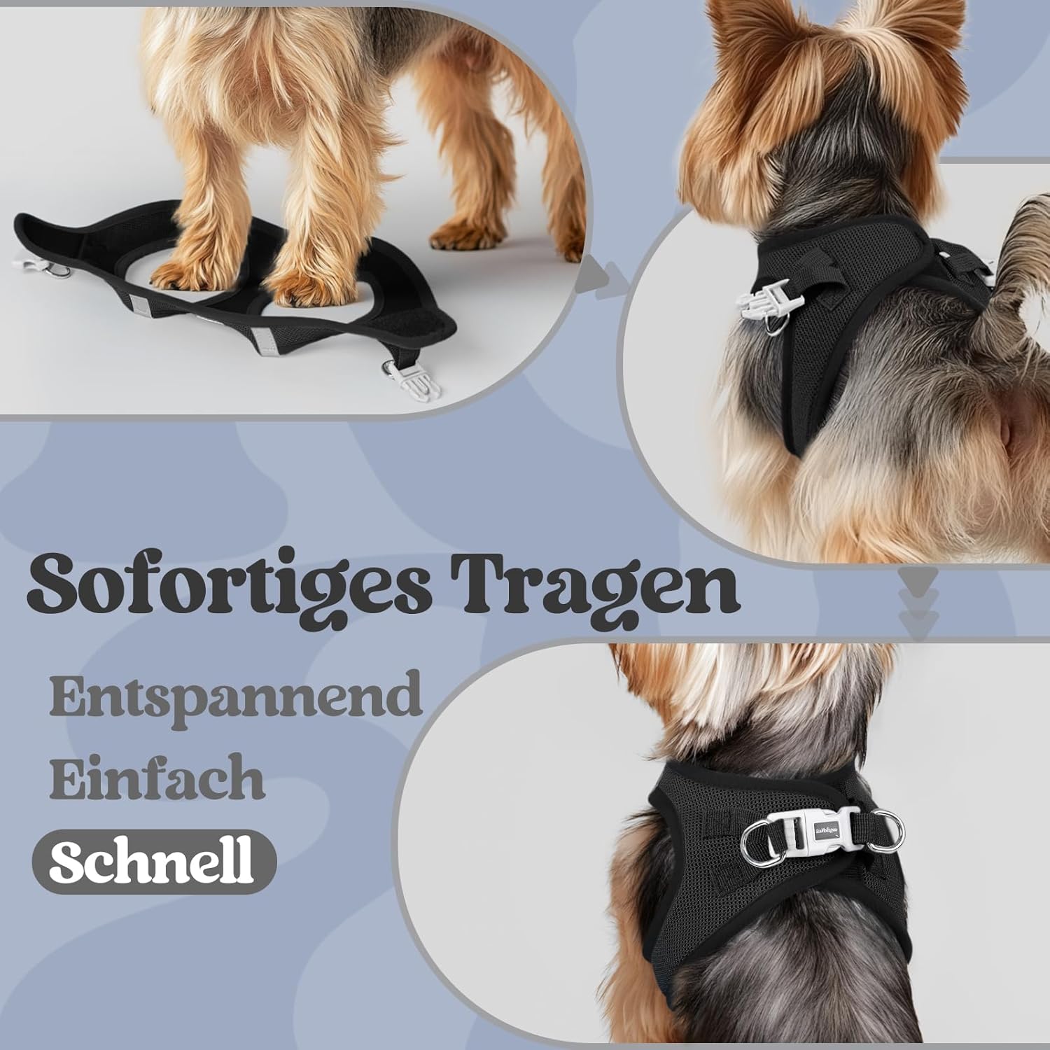 Detalle 1 de rabbitgoo Hundegeschirr XS für kleine Hunde