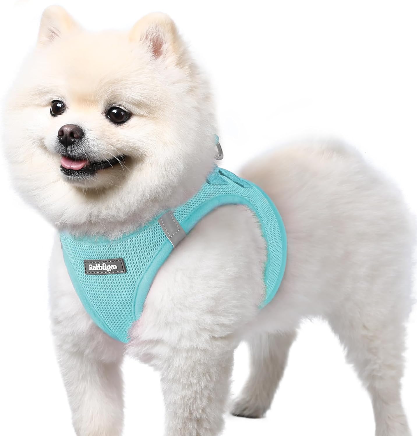 Detalle de rabbitgoo Dog Harness Small Dog Step-in Soft Mesh Puppy Harness (Mint Blue, S)